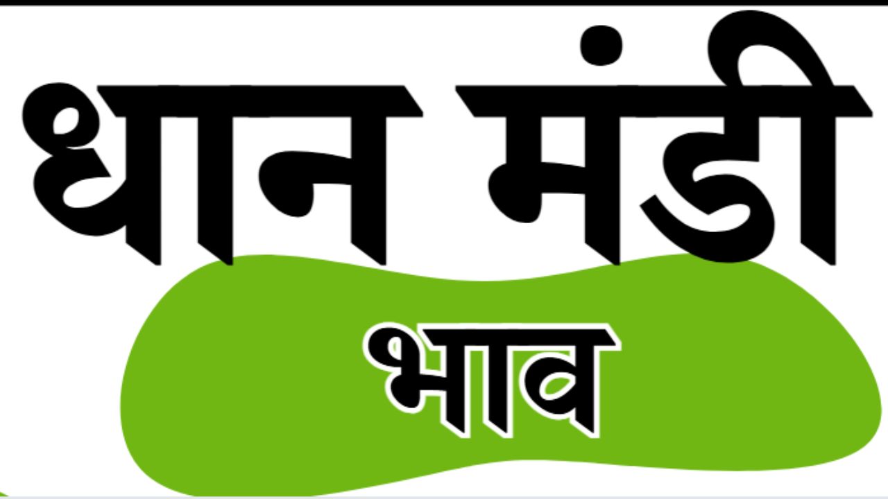 धान मंडी भाव – Paddy Mandi Bhav