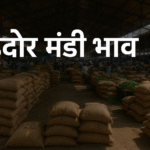 Indore Mandi Bhav Today for Wheat, Soyabean, Onion, Garlic and Vegetables