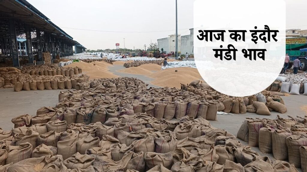 indore mandi bhav today