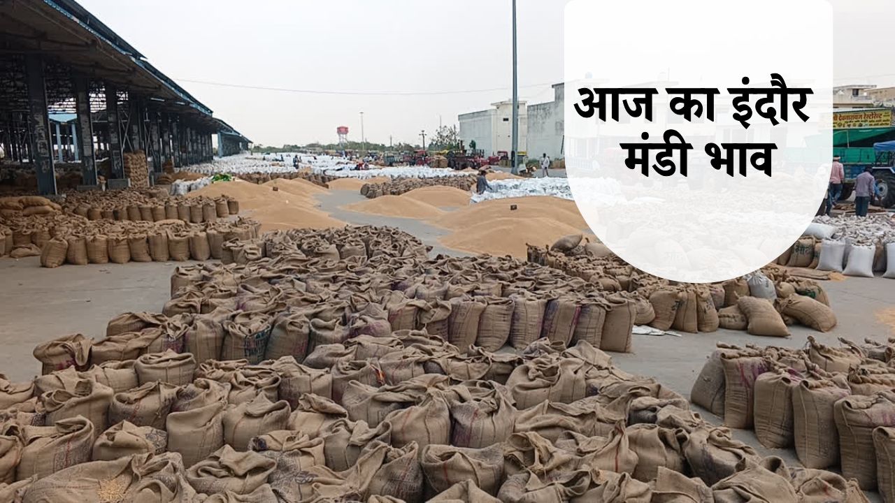 indore mandi bhav today
